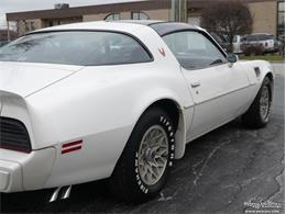 1980 Pontiac Firebird Trans Am (CC-977347) for sale in Alsip, Illinois