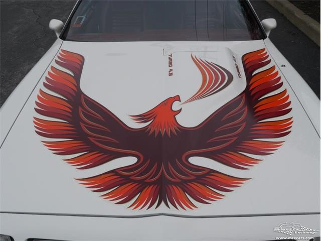 1980 Pontiac Firebird Trans Am (CC-977347) for sale in Alsip, Illinois