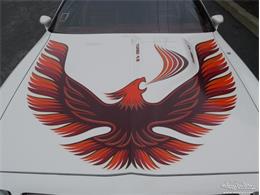 1980 Pontiac Firebird Trans Am (CC-977347) for sale in Alsip, Illinois