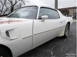 1980 Pontiac Firebird Trans Am (CC-977347) for sale in Alsip, Illinois