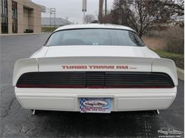 1980 Pontiac Firebird Trans Am (CC-977347) for sale in Alsip, Illinois
