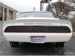 1980 Pontiac Firebird Trans Am (CC-977347) for sale in Alsip, Illinois