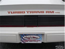 1980 Pontiac Firebird Trans Am (CC-977347) for sale in Alsip, Illinois