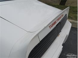 1980 Pontiac Firebird Trans Am (CC-977347) for sale in Alsip, Illinois