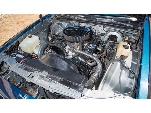 1981 Chevrolet Monte Carlo (CC-978013) for sale in Indianapolis, Indiana