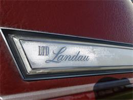 1979 Ford LTD (CC-978029) for sale in Tinley Park, Illinois