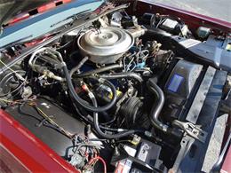 1979 Ford LTD (CC-978029) for sale in Tinley Park, Illinois