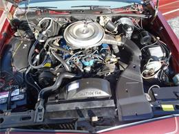 1979 Ford LTD (CC-978029) for sale in Tinley Park, Illinois