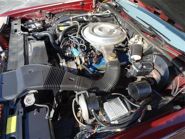 1979 Ford LTD (CC-978029) for sale in Tinley Park, Illinois