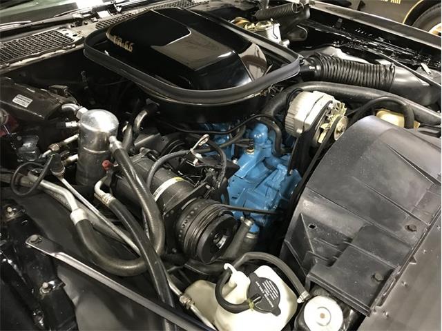 1977 Pontiac Firebird Trans Am (CC-978118) for sale in Lincoln, Nebraska