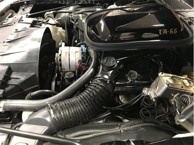 1977 Pontiac Firebird Trans Am (CC-978118) for sale in Lincoln, Nebraska