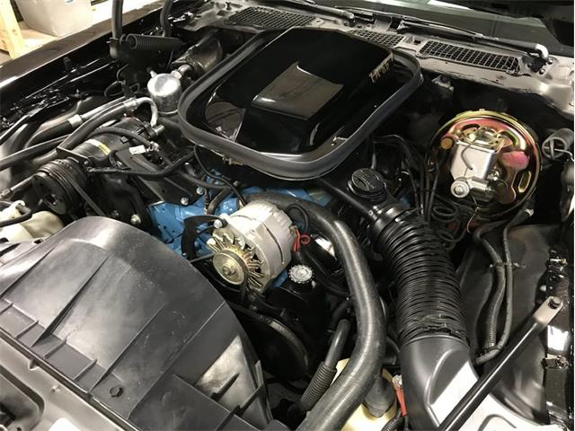 1977 Pontiac Firebird Trans Am (CC-978118) for sale in Lincoln, Nebraska