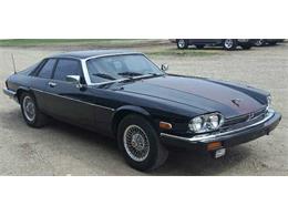 1985 Jaguar XJS (CC-978609) for sale in Muskego, Wisconsin