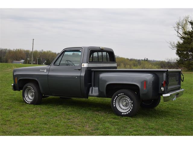 1976 Chevrolet Pickup (CC-978656) for sale in Watertown, Minnesota
