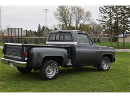 1976 Chevrolet Pickup (CC-978656) for sale in Watertown, Minnesota