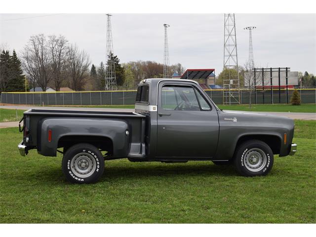 1976 Chevrolet Pickup (CC-978656) for sale in Watertown, Minnesota