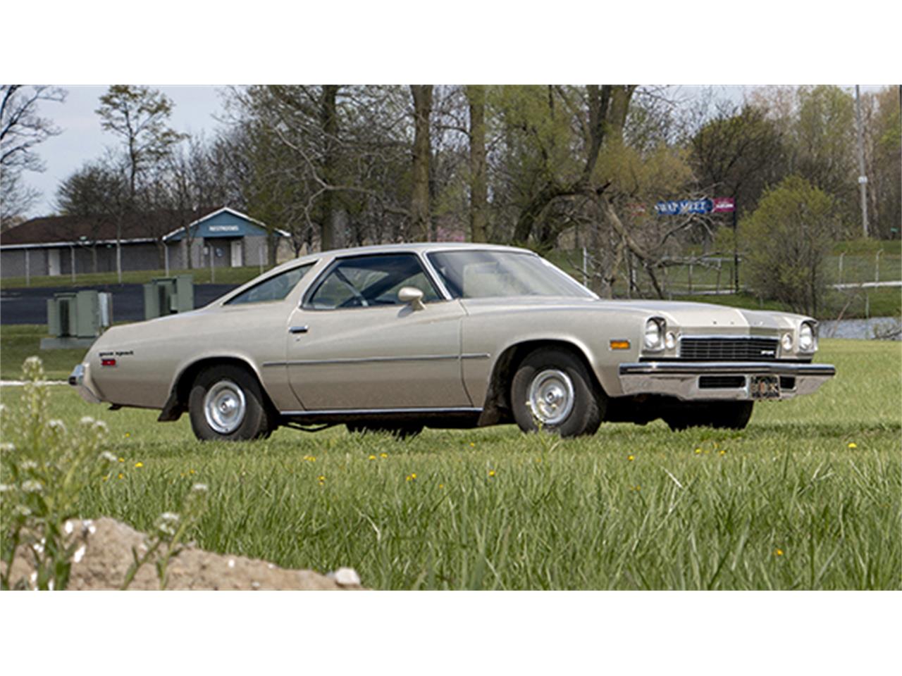 1974 век. Buick Century 1974. Бьюик сенчури 1974. 1974 Buick Regal. Buick Century 1974 Convertible.