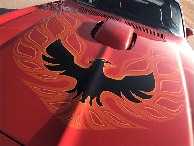 1973 Pontiac Firebird Trans Am (CC-978904) for sale in Clarksburg, Maryland