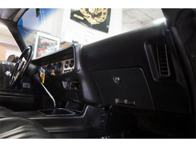 1977 Pontiac Firebird Trans Am (CC-978929) for sale in Clarksburg, Maryland