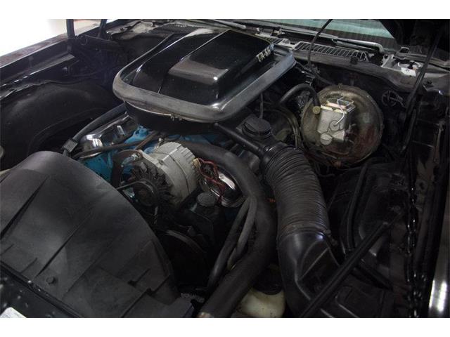1977 Pontiac Firebird Trans Am (CC-978929) for sale in Clarksburg, Maryland