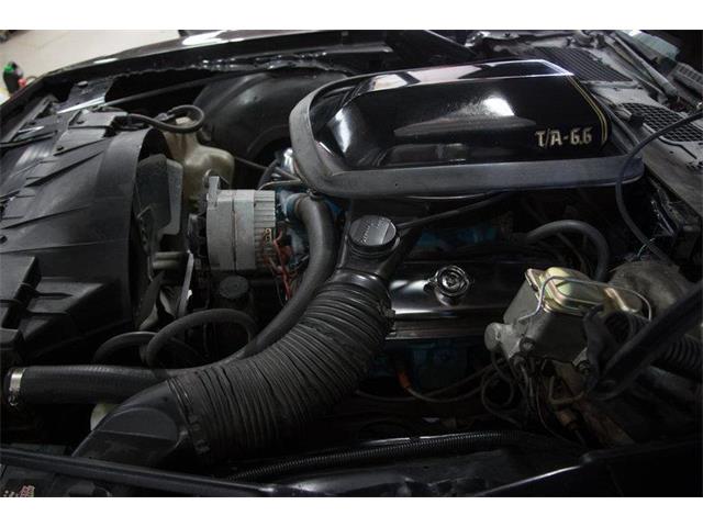 1977 Pontiac Firebird Trans Am (CC-978929) for sale in Clarksburg, Maryland