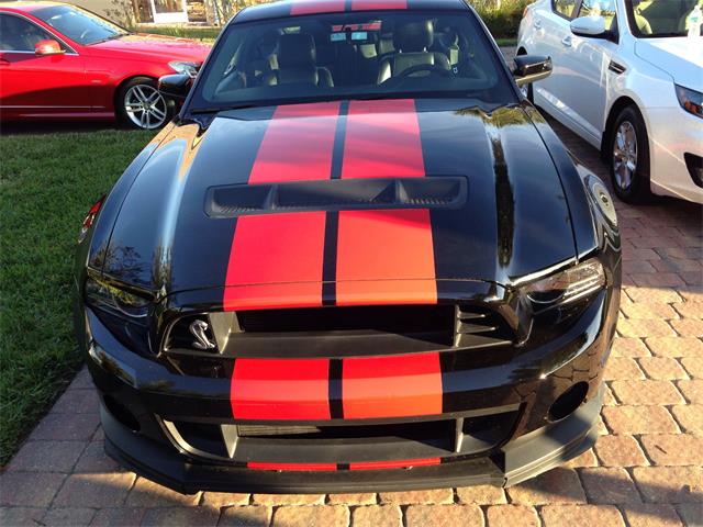 2013 Shelby GT500 (CC-979679) for sale in Venice, Florida