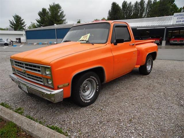 1982 Chevrolet C/K 10 (CC-981524) for sale in Paris , Kentucky