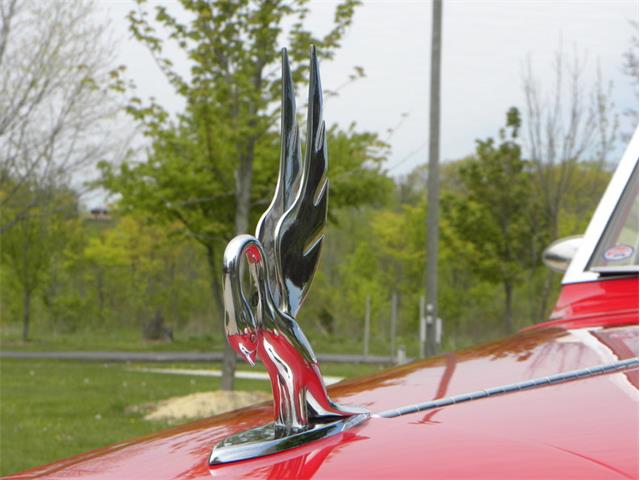 1934 Packard 1107 Roadster  Bayliff Recreation (CC-981892) for sale in Volo, Illinois