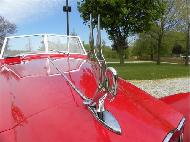 1934 Packard 1107 Roadster  Bayliff Recreation (CC-981892) for sale in Volo, Illinois