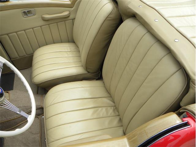 1934 Packard 1107 Roadster  Bayliff Recreation (CC-981892) for sale in Volo, Illinois