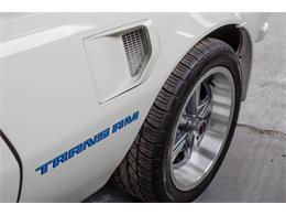 1975 Pontiac Firebird Trans Am (CC-982157) for sale in Montreal, Quebec
