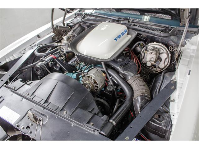 1975 Pontiac Firebird Trans Am (CC-982157) for sale in Montreal, Quebec