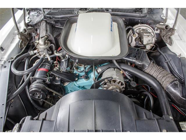 1975 Pontiac Firebird Trans Am (CC-982157) for sale in Montreal, Quebec