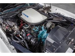1975 Pontiac Firebird Trans Am (CC-982157) for sale in Montreal, Quebec
