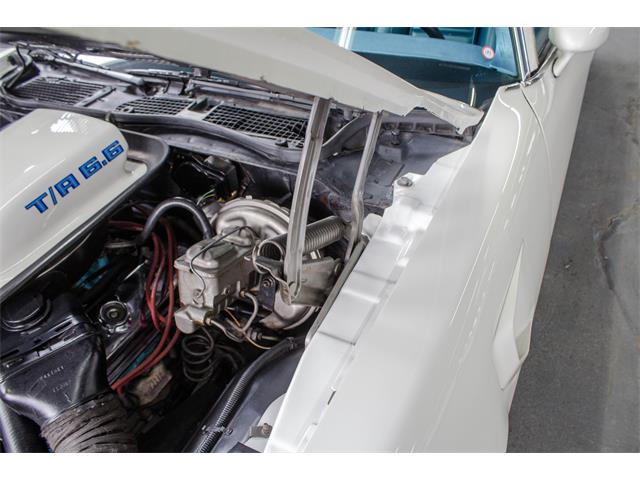 1975 Pontiac Firebird Trans Am (CC-982157) for sale in Montreal, Quebec