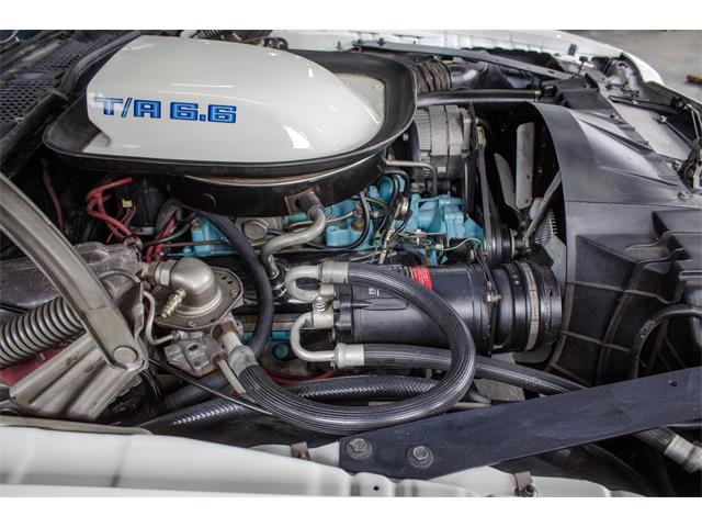 1975 Pontiac Firebird Trans Am (CC-982157) for sale in Montreal, Quebec