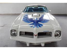 1975 Pontiac Firebird Trans Am (CC-982157) for sale in Montreal, Quebec