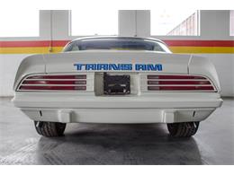 1975 Pontiac Firebird Trans Am (CC-982157) for sale in Montreal, Quebec