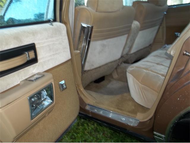1986 Chevrolet Caprice Classic (CC-982173) for sale in ZEPHYRHILLS, Florida