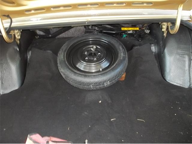 1986 Chevrolet Caprice Classic (CC-982173) for sale in ZEPHYRHILLS, Florida