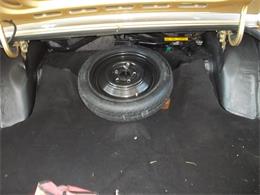 1986 Chevrolet Caprice Classic (CC-982173) for sale in ZEPHYRHILLS, Florida