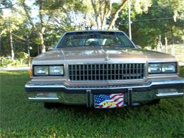 1986 Chevrolet Caprice Classic (CC-982173) for sale in ZEPHYRHILLS, Florida
