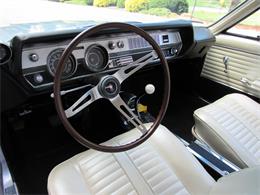 1966 Oldsmobile Cutlass 442 Coupe (CC-982176) for sale in Mill Hall, Pennsylvania