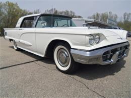 1960 Ford Thunderbird (CC-980268) for sale in Jefferson, Wisconsin