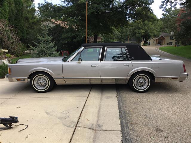 1989 Lincoln Town Car (CC-980302) for sale in Minneapolis St Paul, Minnesota
