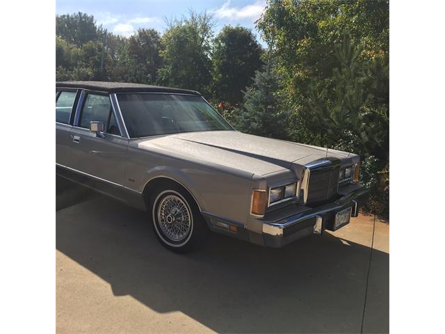 1989 Lincoln Town Car (CC-980302) for sale in Minneapolis St Paul, Minnesota