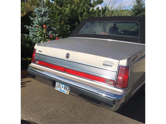 1989 Lincoln Town Car (CC-980302) for sale in Minneapolis St Paul, Minnesota
