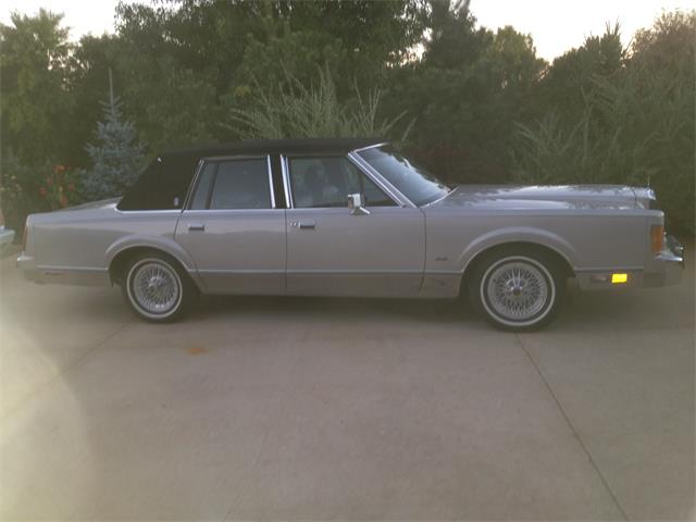 1989 Lincoln Town Car (CC-980302) for sale in Minneapolis St Paul, Minnesota