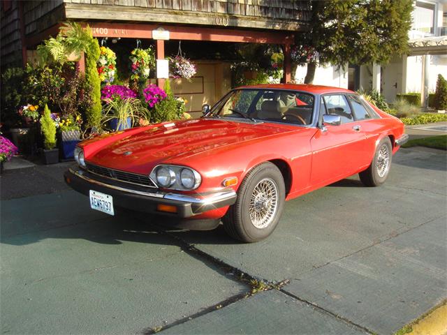 1985 Jaguar XJS (CC-983527) for sale in Seattle, Washington