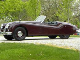 1955 Jaguar XK-140 Sport Roadster (CC-983604) for sale in Volo, Illinois